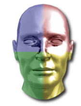 theory behind the personality profile theory behind the personality profile